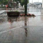 お、ちょっといい降りしてきた。
#士幌