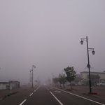 今日も霧が凄い士幌町…おはまーす?