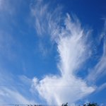 久しぶりに青空?気分よい?