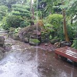 雨凄い?